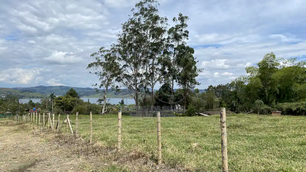 Lotes Iguazú